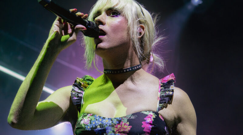 Rainbow Kitten Surprise