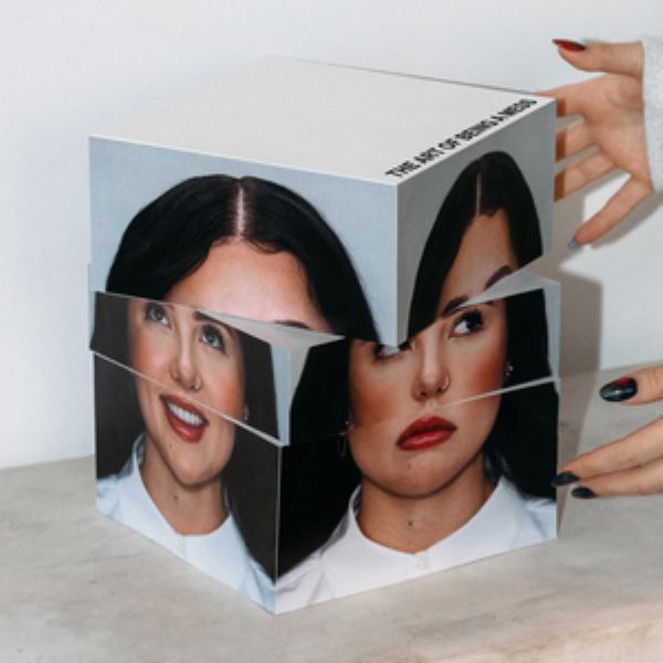 HE ART OF BEING A MESS 