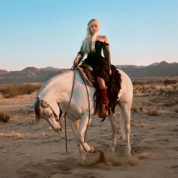 The Wild The Innocent & the raging 